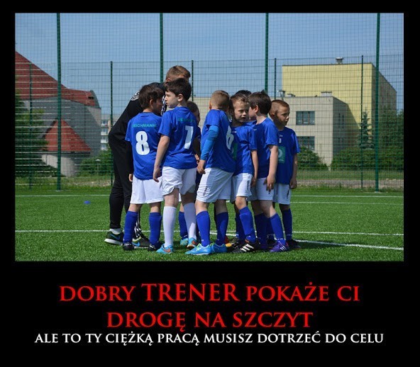 trener-dobry.jpg